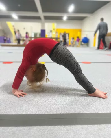 Parent and Toddler image